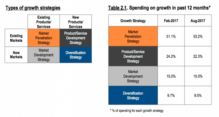 Growth Strategy Benefits, Types & Examples
